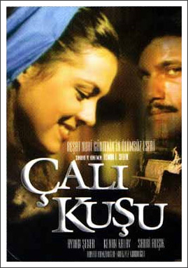 calikusu.jpg