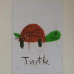 Bir Çizeri Canlı İzlemek