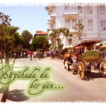 Sebze ve Meyveler parlasın..