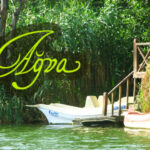 Harry Potter ve Melez Prens ve 3D Imax deneyimi