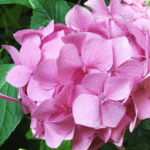 Kendinize iyi bakın!