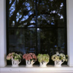 Güzel bir film: Leap Year