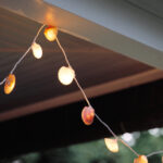 Mor Lahanalı Şehriye Salatası