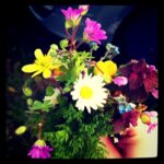 Bahar Gelsin Diye…