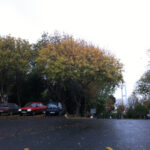 Deniz Teması Sevgim