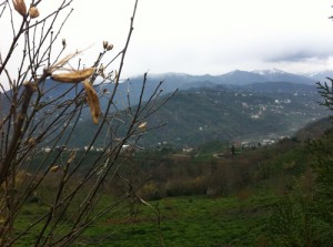 Kışın Rize Seyahatimiz ve Süpriz Doğum Günü