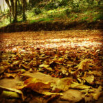 Ankara’da Doğru Diyetisyen