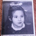 Kitaplık Seçiminizde