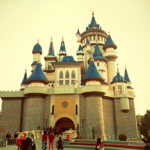 Balık sevgim ve istavrit tava