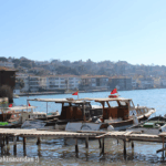 CNR Kitap fuarı ve haftasonu