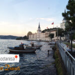 2014’ün moda objesi: Ananas desenleri