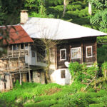 Kadınlar İçin En Uygun Fiyatlı Alışveriş Noktası