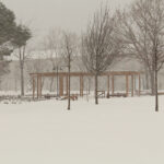 Sahi İstanbul’da Bir Gün