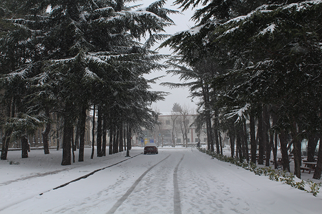 kar2015-2