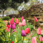 Belgrad ormanına kaçış