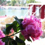 Bir küçük Çilek meselesi..