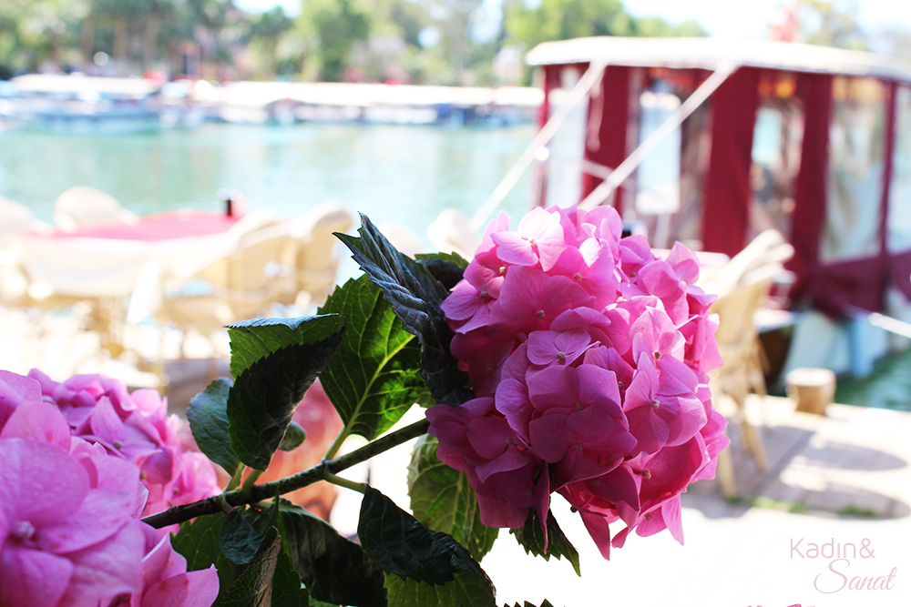 dalyan1