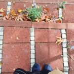 Sonbahar’da Okunacak Kitaplar