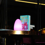 {Vlog} Kuzuluk, Gölcük Göl Evi, Alabalık Ziyafeti