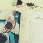 {Film} The Intern / Stajyer