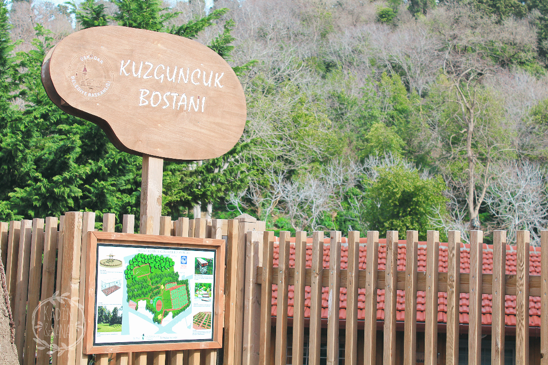 Kuzguncukta Güzel Bir Gün 3 kuzguncuk