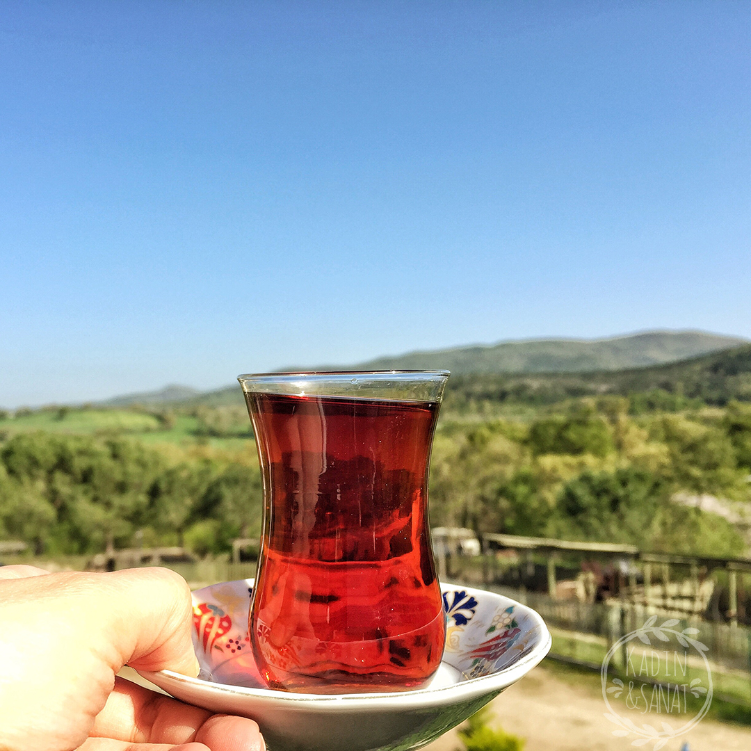Baharda Gönen Başkadır 4 gonen8