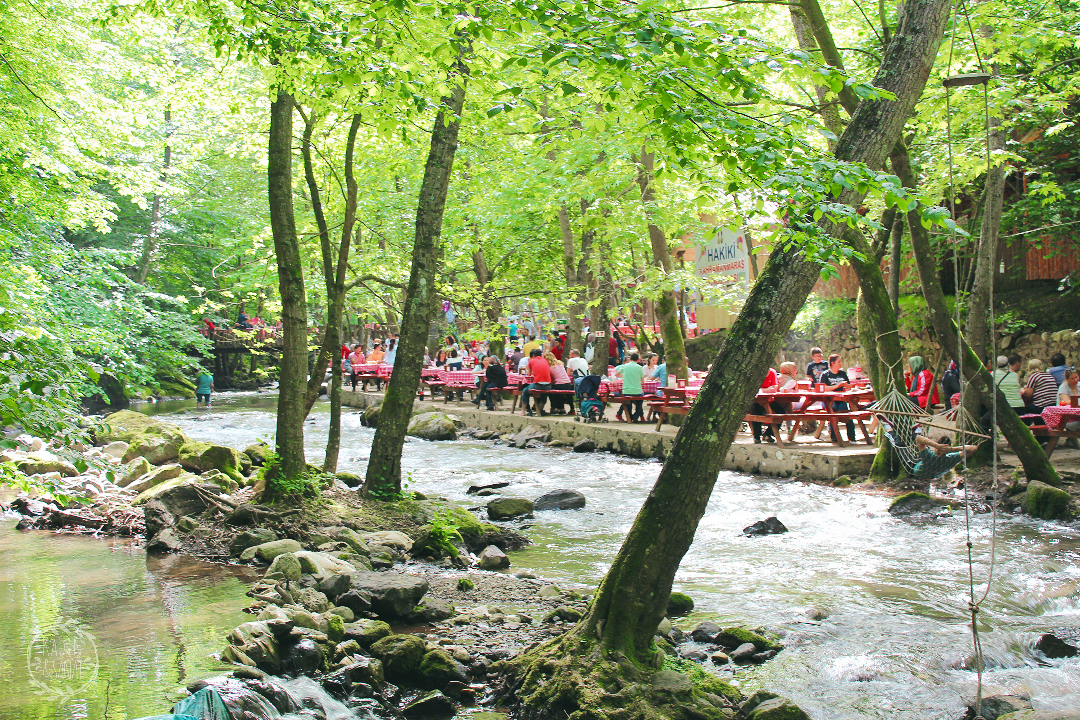 Haftasonundan Kısa Kısa, Kerpe, Pembe Kayalar, Yuvacık Piknik 12 IMG_7561
