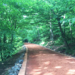 Hepimiz Evleneceğiz