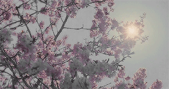 jane_eyre-1