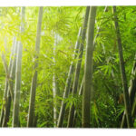 Dudak Balsamı Ne İşe Yarar?