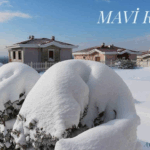 Billur Şahin, Bibu Punch @bibu_punch