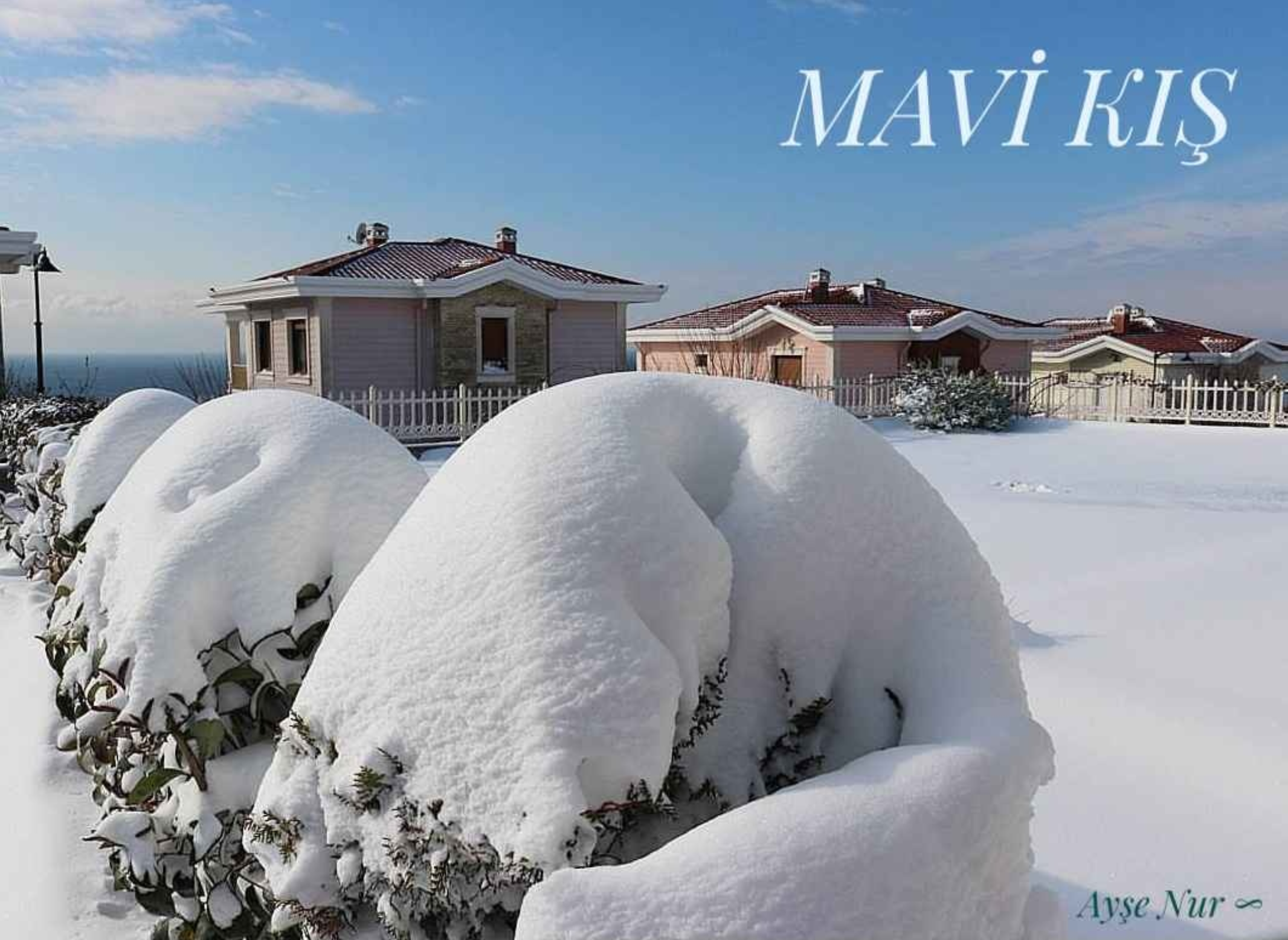 Mavi Kış’ın Yazarı Ayşe Nur ile Söyleşi 1 mavi kış