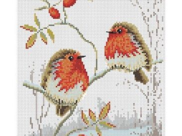 Kuşlu Etamin Şablon