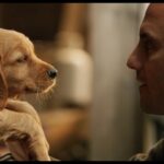 Anahtar Etamin Şablonu