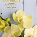 Prima Bebek Bezi Fiyatları