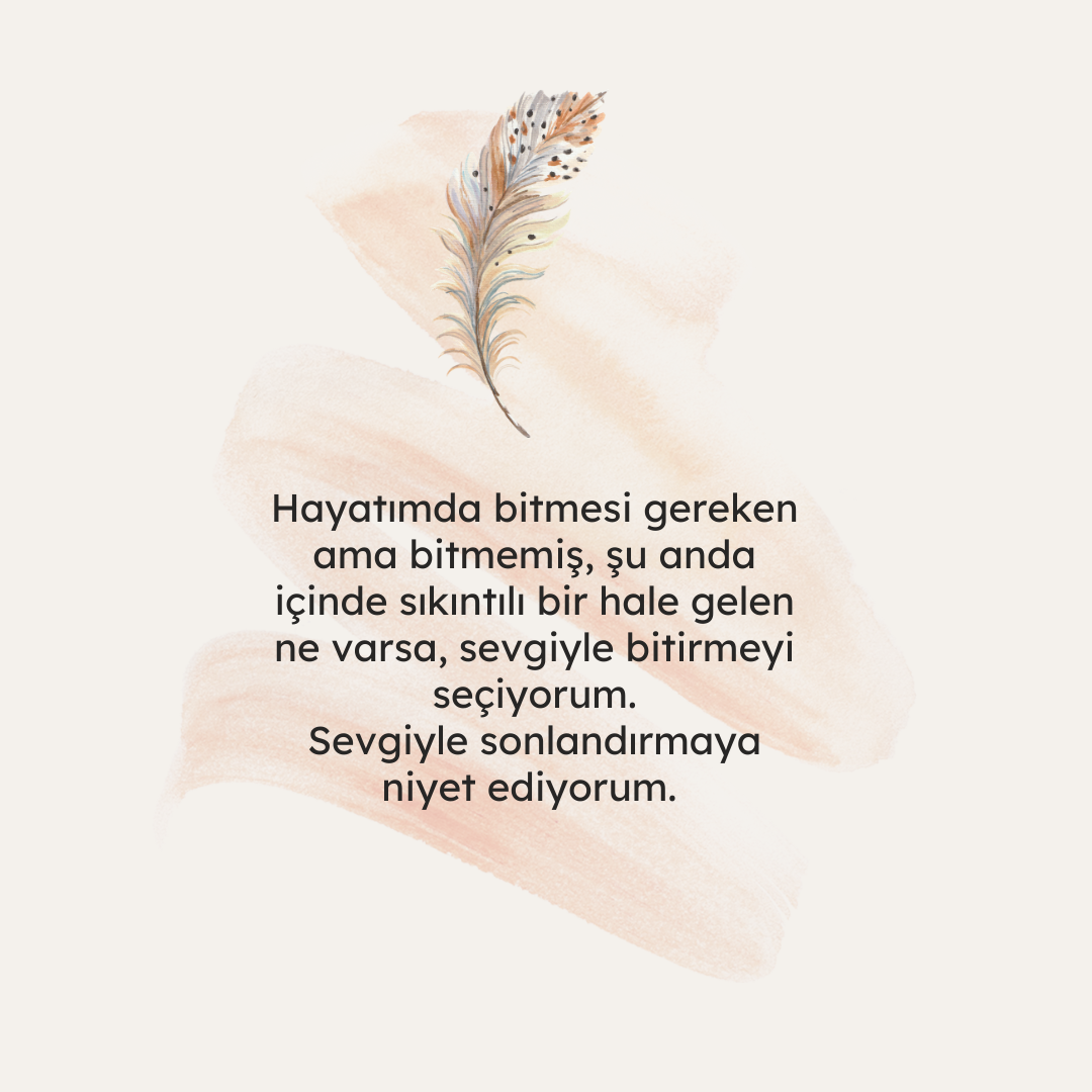 9971D93C-55C3-44AF-A056-3604F8C9CCB5
