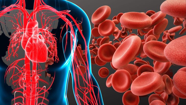 Yorgun ve halsiz görünen bir kadın, ellerini hafifçe başına koymuş.