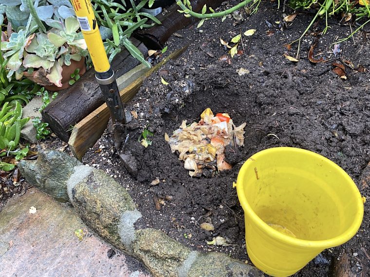 Mutfakta bir tezgâh üzerinde, önünde kompost kovası bulunan ve elindeki sebze-meyve kabuklarını kovaya döken kişinin yanında kahverengi kağıt, kuru yaprak ve kompost katmanlarını gösteren basit bir düzen.